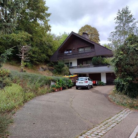 Feldbergsicht Lejlighed Lenzkirch Eksteriør billede