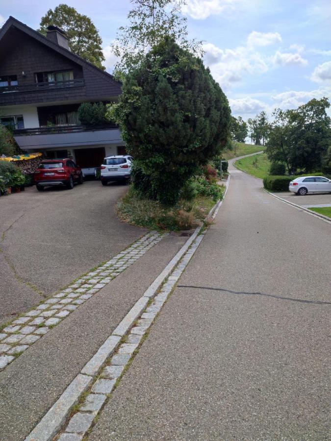 Feldbergsicht Lejlighed Lenzkirch Eksteriør billede