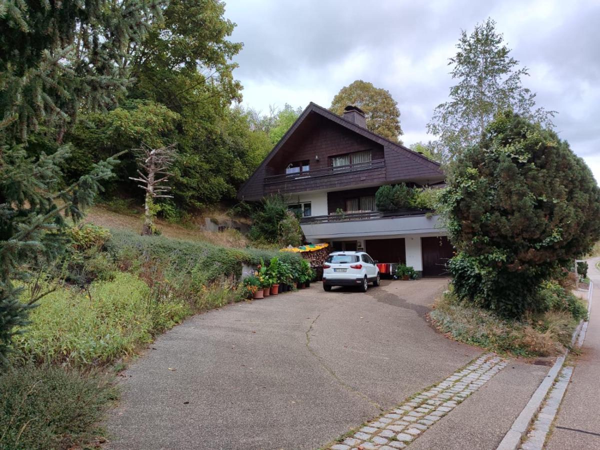 Feldbergsicht Lejlighed Lenzkirch Eksteriør billede