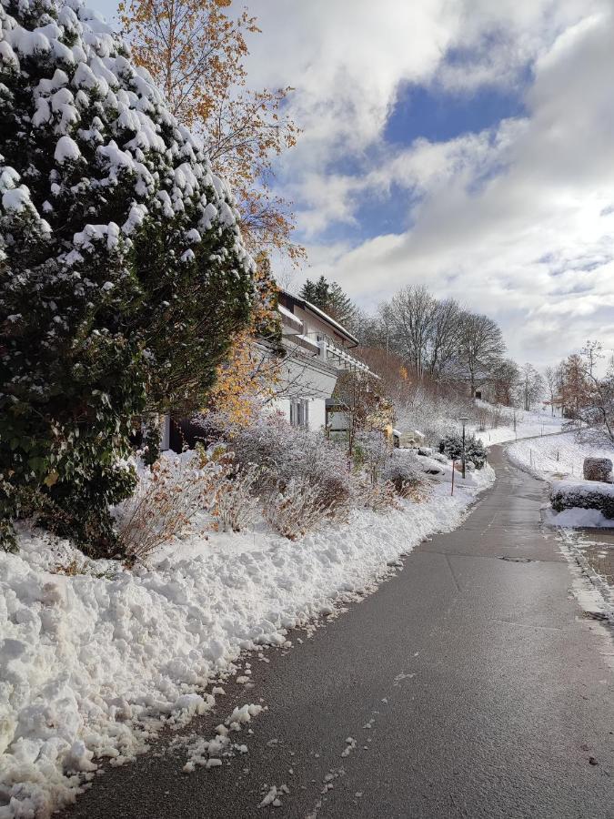 Feldbergsicht Lejlighed Lenzkirch Eksteriør billede